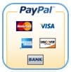 online store design online payments feature | Web Agent